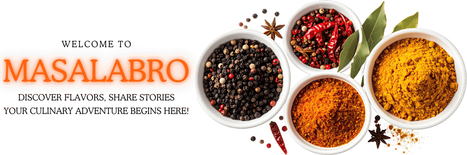 masalabrobro-headline-spices-welcome